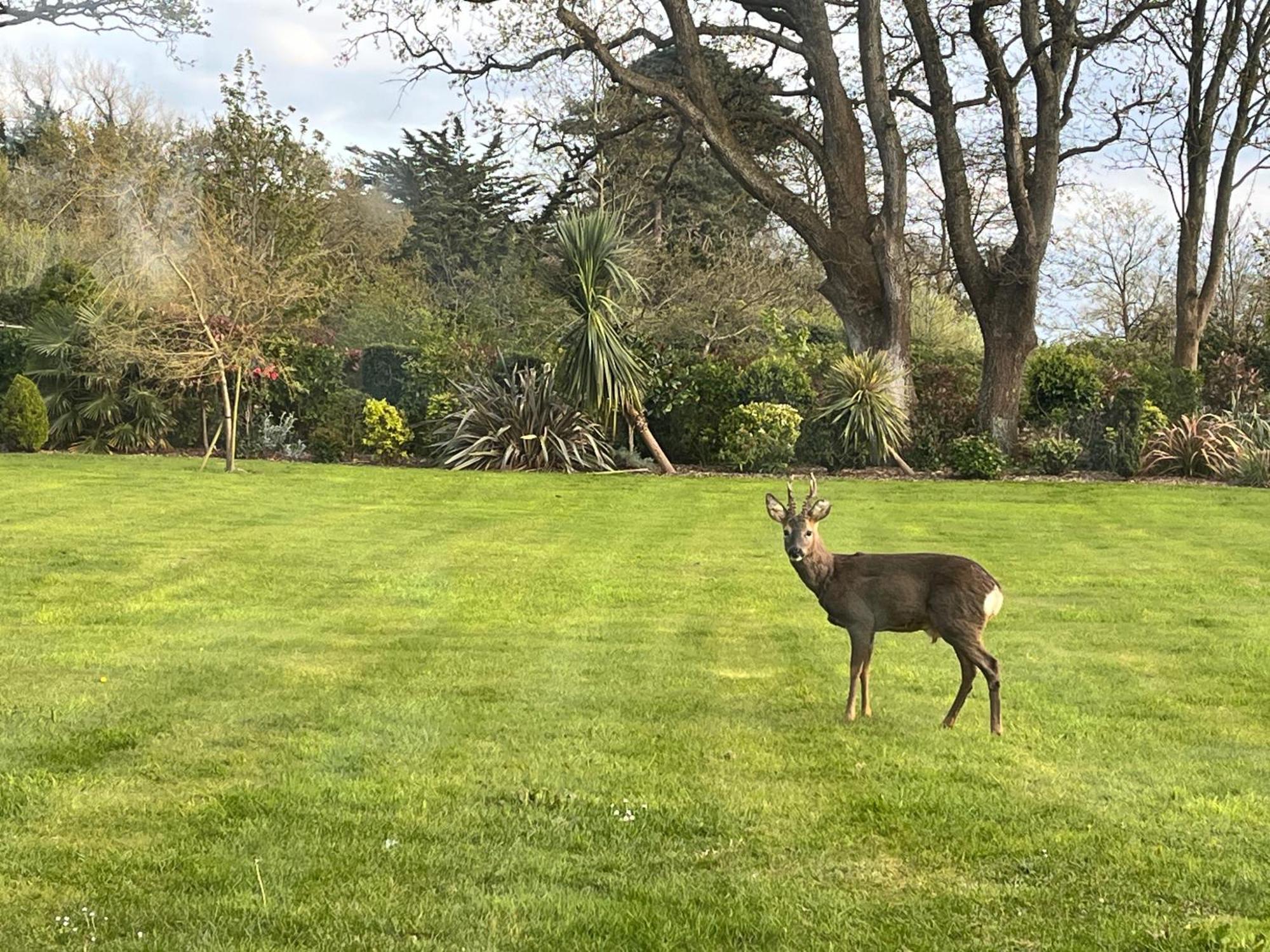 Stay At 'The Elms' In Tranquil Church Norton, Selsey - Ground Floor Bedroom, Own Private Bathroom, Quiet Beach, 2 Acre Garden By The Sea, On Edge Of Wildlife Nature Reserve Exteriér fotografie
