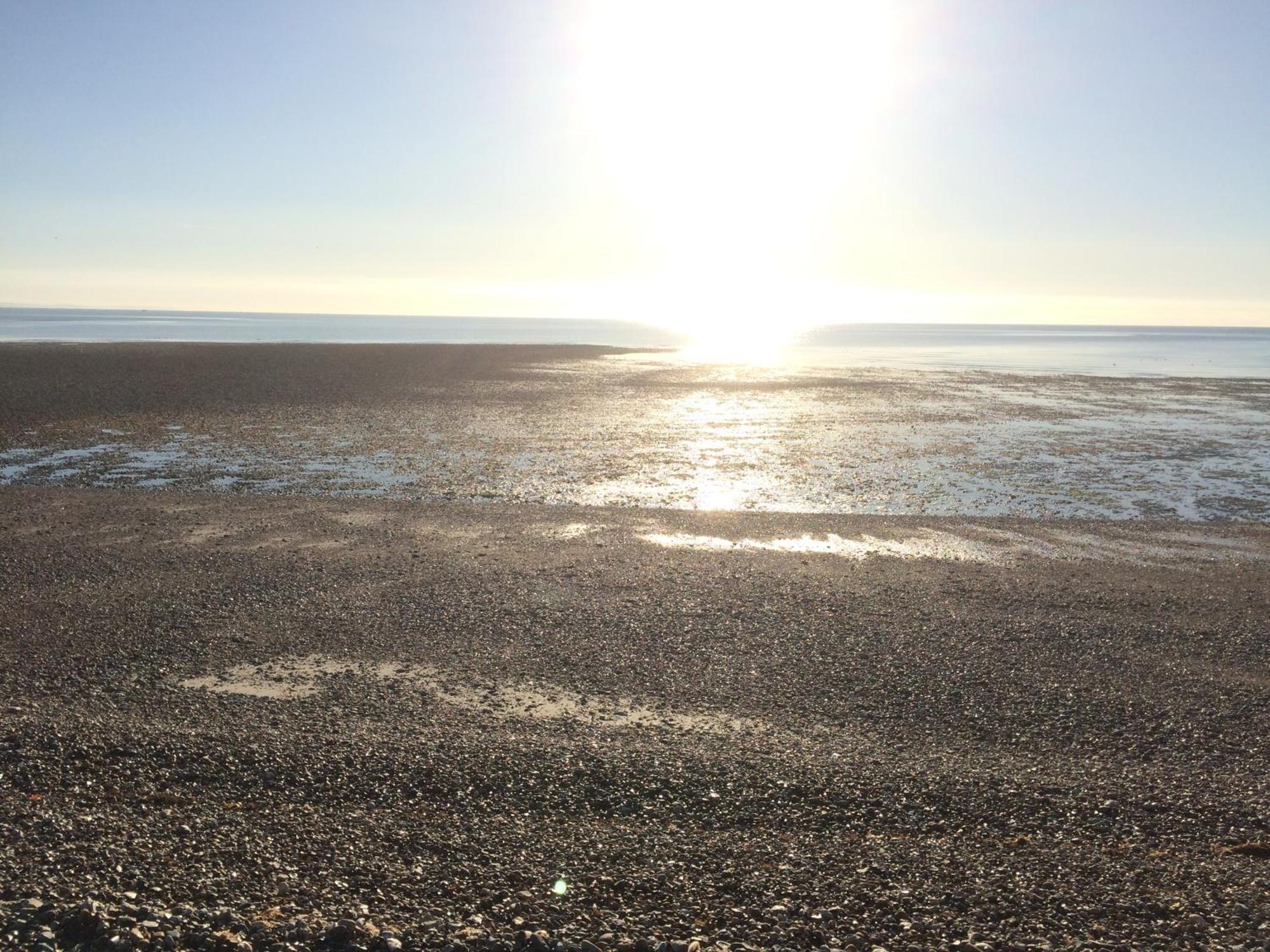 Stay At 'The Elms' In Tranquil Church Norton, Selsey - Ground Floor Bedroom, Own Private Bathroom, Quiet Beach, 2 Acre Garden By The Sea, On Edge Of Wildlife Nature Reserve Exteriér fotografie