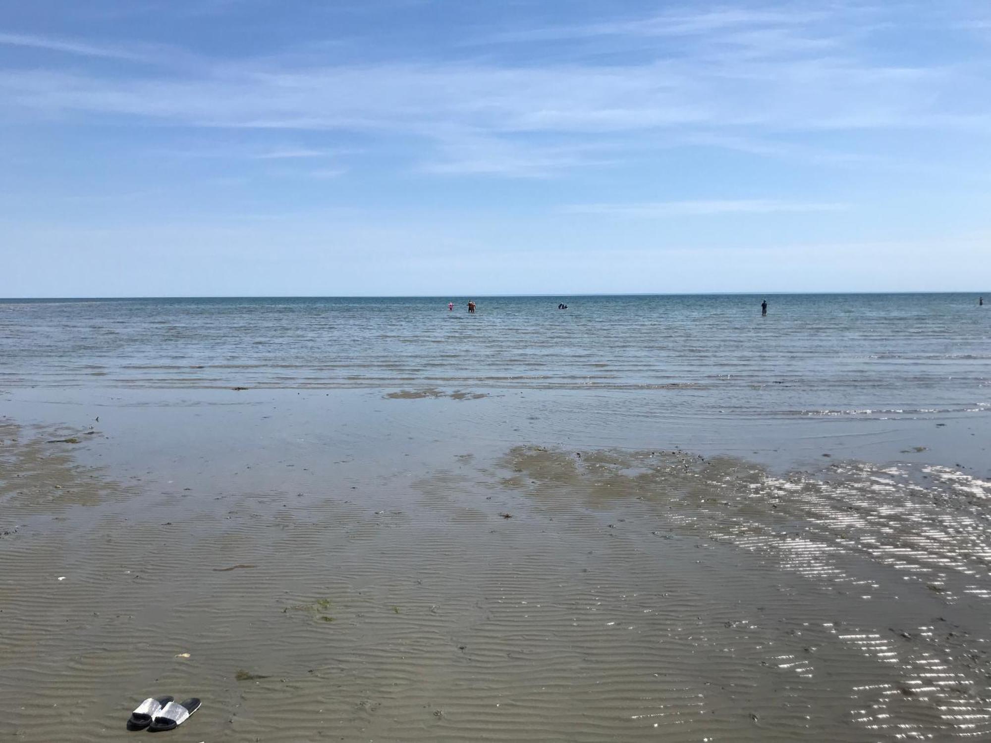 Stay At 'The Elms' In Tranquil Church Norton, Selsey - Ground Floor Bedroom, Own Private Bathroom, Quiet Beach, 2 Acre Garden By The Sea, On Edge Of Wildlife Nature Reserve Exteriér fotografie